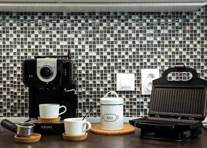 Karlovarska Apartment *