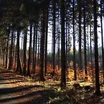 Karlovarska *