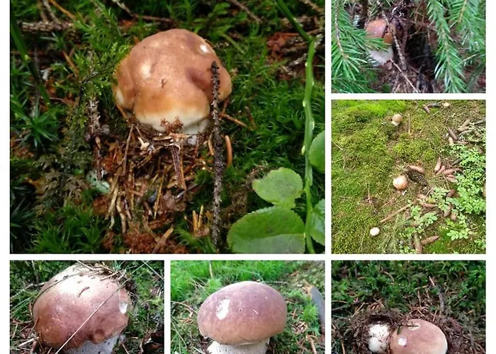 Apartamento Karlovarská